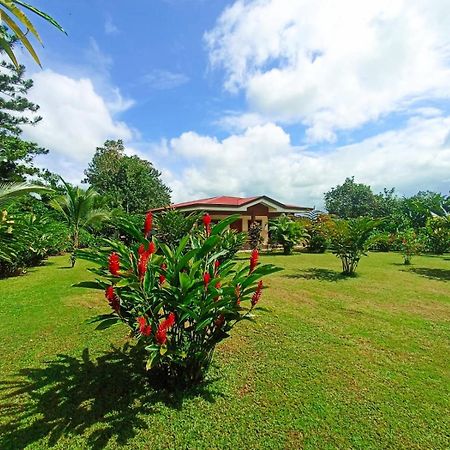 Villa Ceiba La Fortuna Kültér fotó