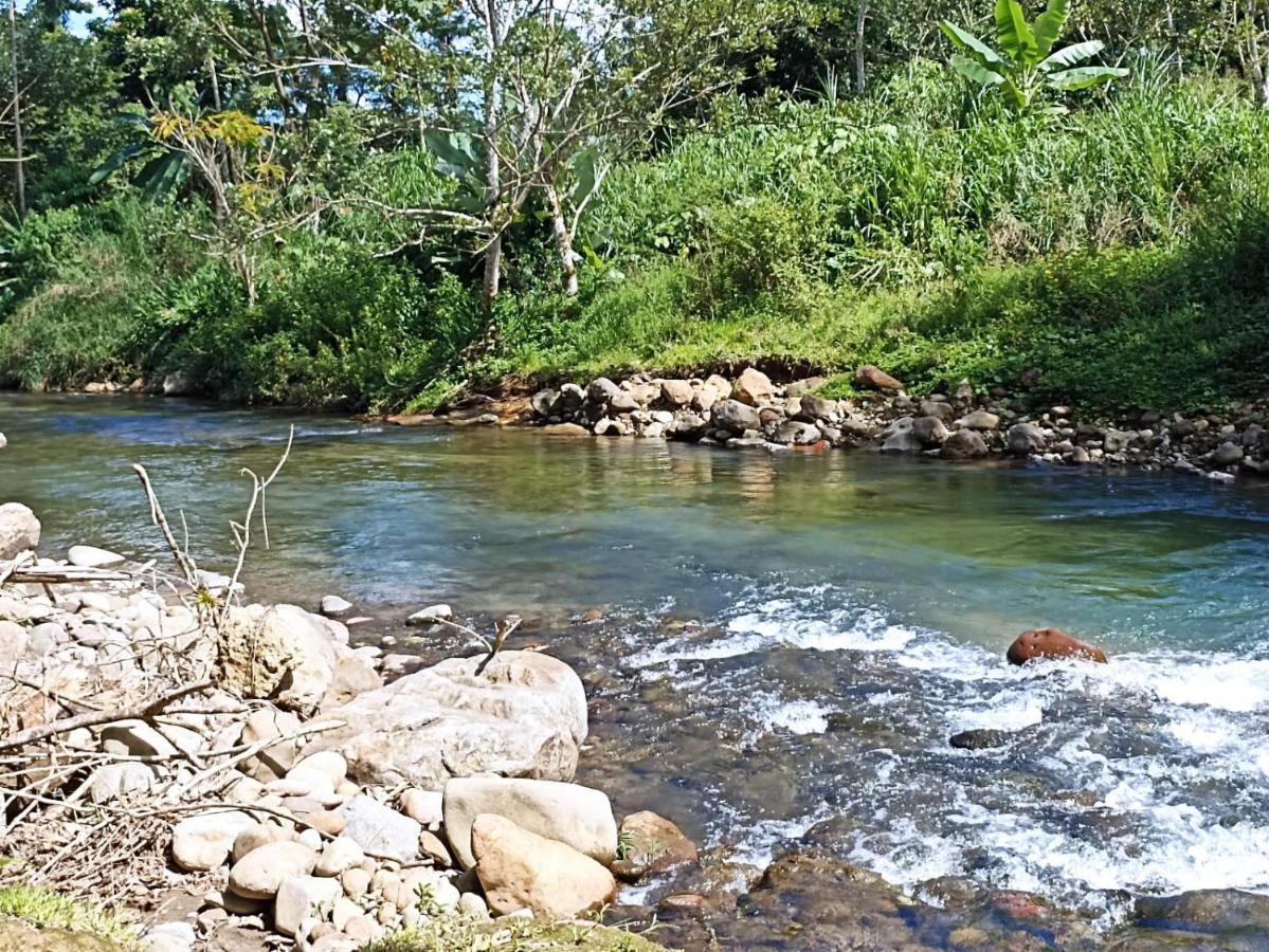 Villa Ceiba La Fortuna Kültér fotó