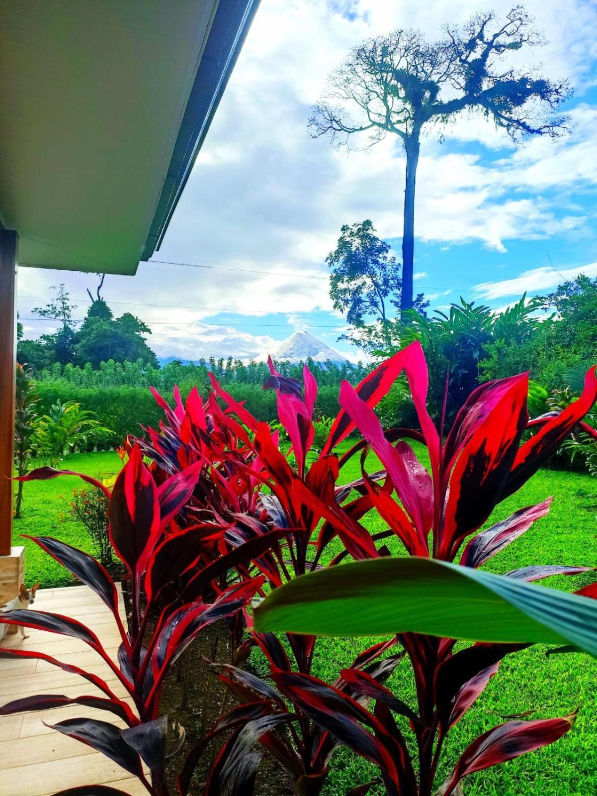 Villa Ceiba La Fortuna Kültér fotó