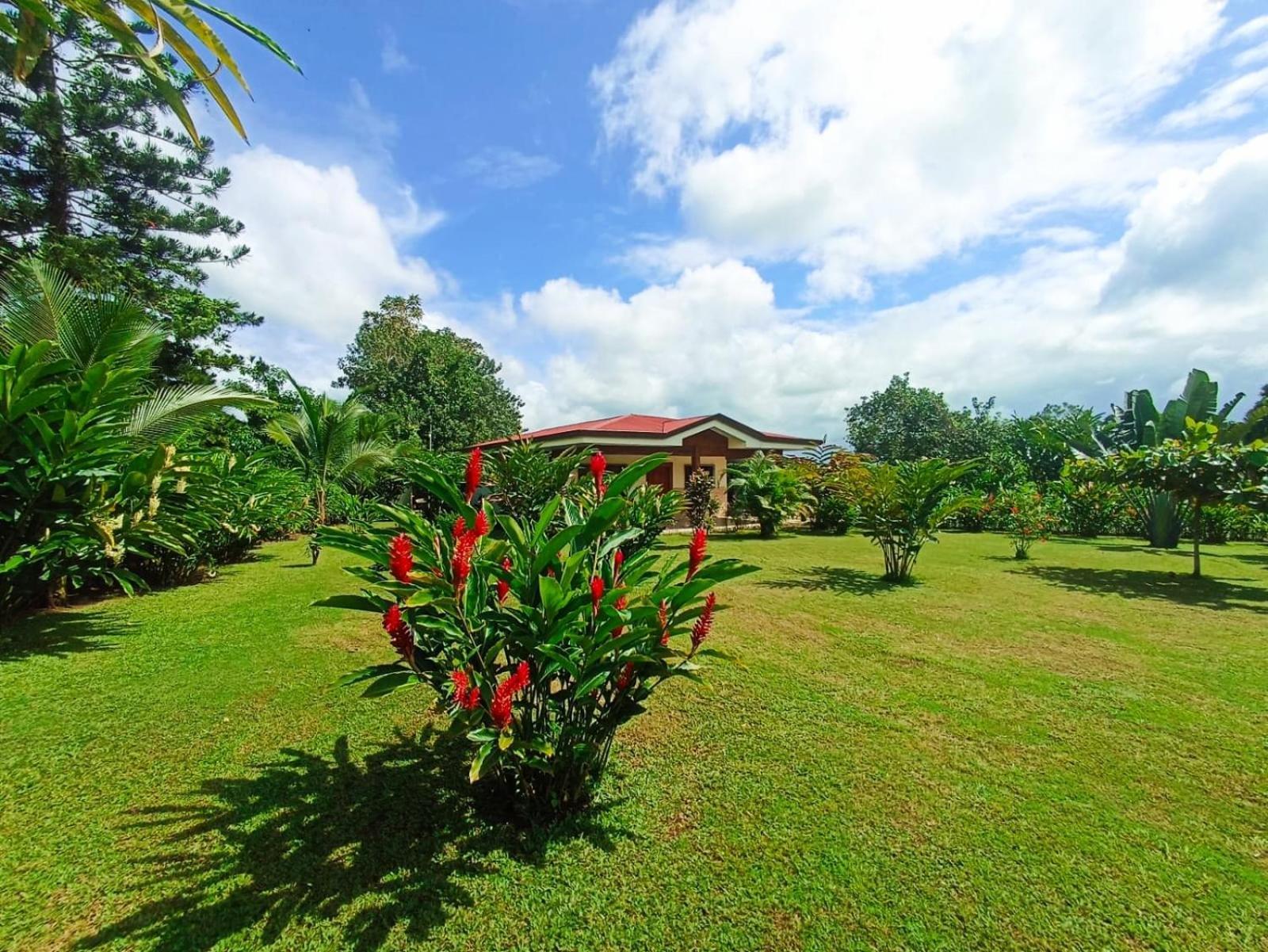 Villa Ceiba La Fortuna Kültér fotó