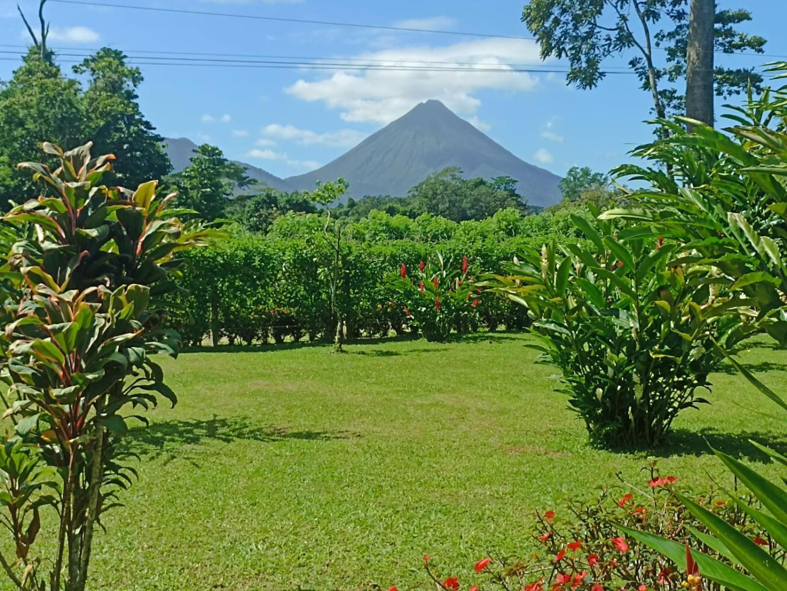 Villa Ceiba La Fortuna Kültér fotó